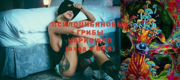 спайс Коряжма