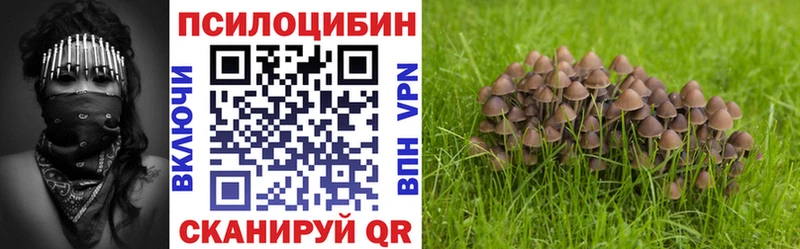 Галлюциногенные грибы Psilocybe Купить закладки Грязи