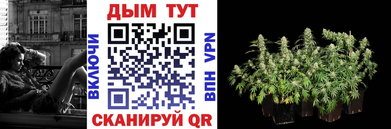 Купить закладки  Грязи  Шишки марихуана VHQ 
